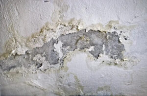 Tạm biệt tường ẩm mốc: Nguyên nhân và cách xử lý hiệu quả