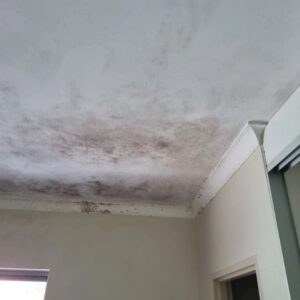 Cách giải quyết trần thạch cao bị ngấm nước hiệu quả