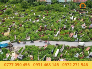 Tác động đến tâm lý và chất lượng sống
