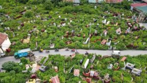 Nhà gần nghĩa trang, nhà xác