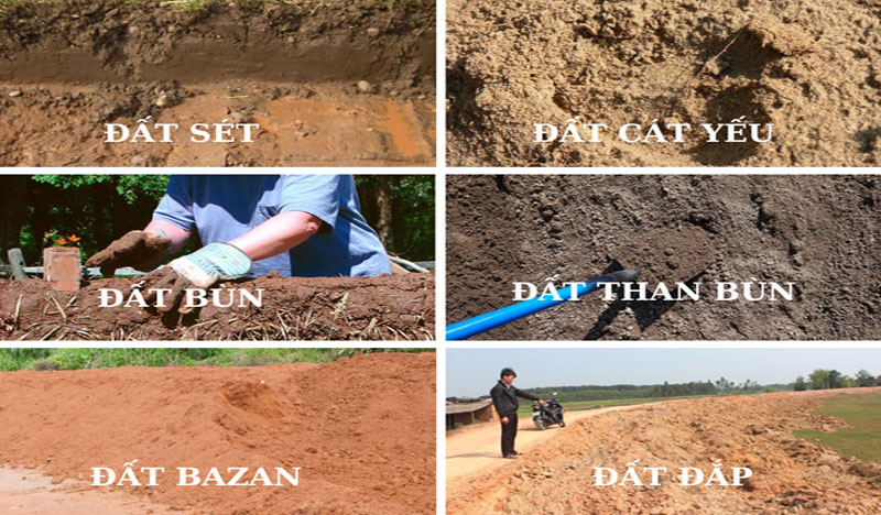 Các loại đất yếu phổ biến tại Việt Nam