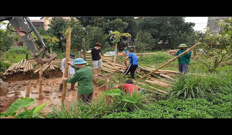 Cách xử lý nền đất yếu bằng cọc tre