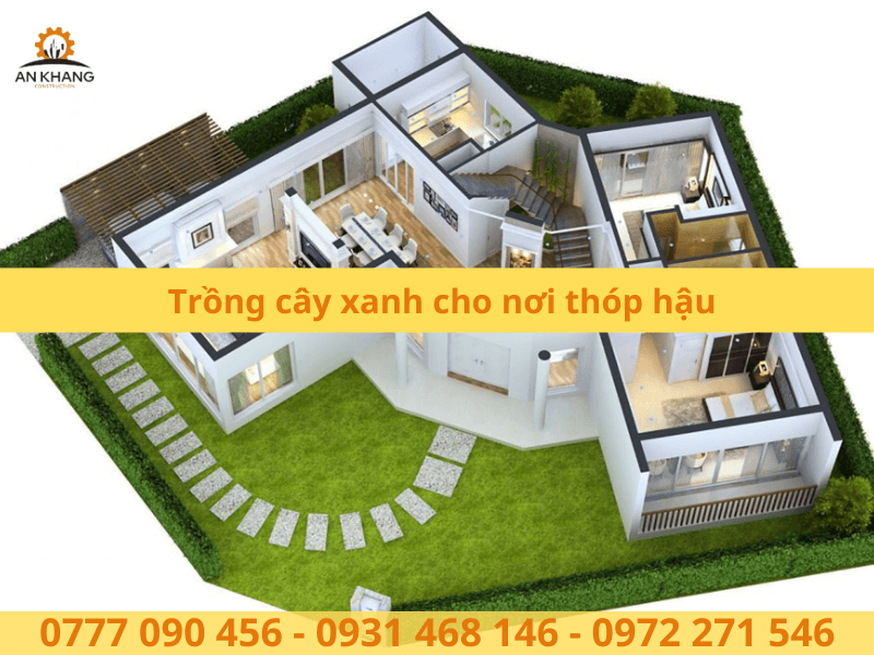 Trồng cây xanh cho nơi thóp hậu