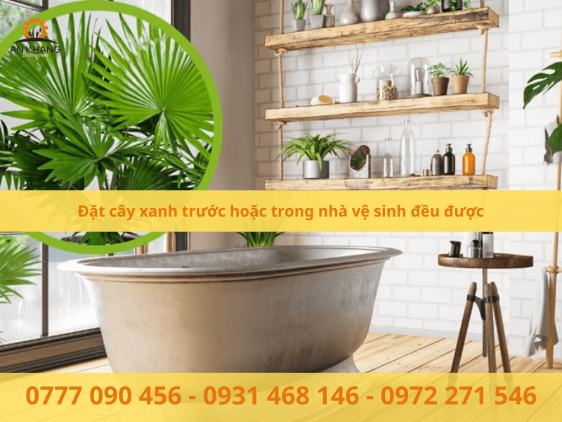 Đặt cây xanh trước hoặc trong nhà vệ sinh đều được