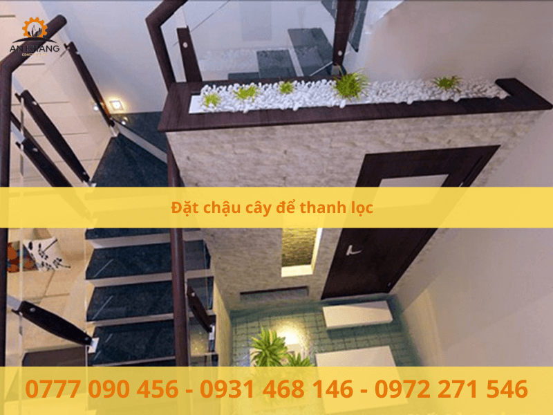 Đặt chậu cây để thanh lọc