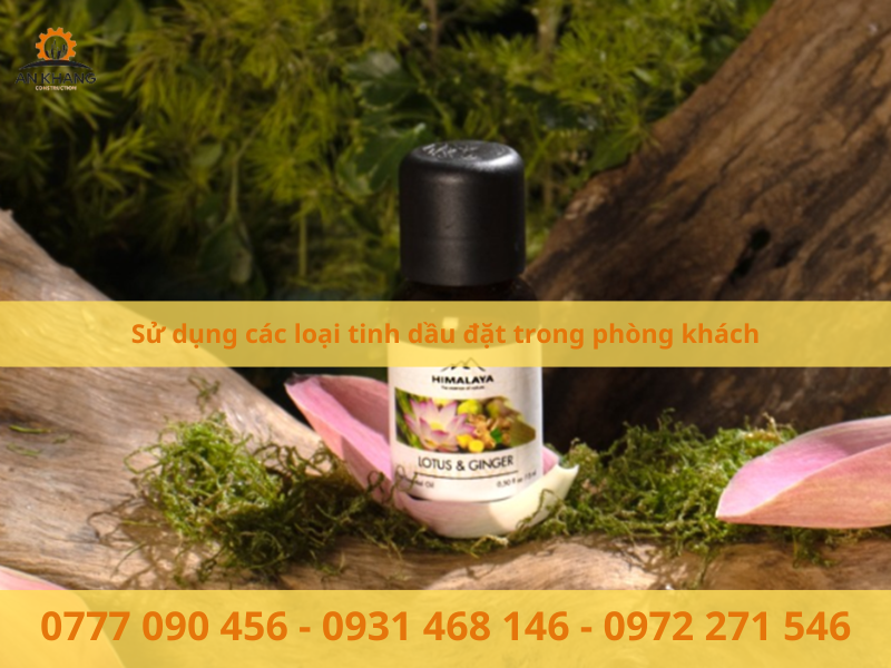 Sử dụng các loại tinh dầu đặt trong phòng khách