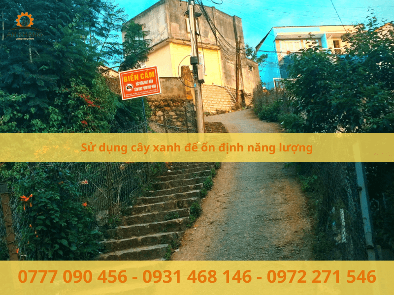 Sử dụng cây xanh để ổn định năng lượng