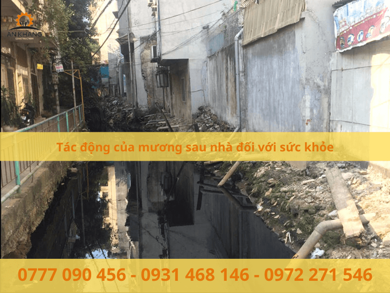 Tác động của mương sau nhà đối với sức khỏe