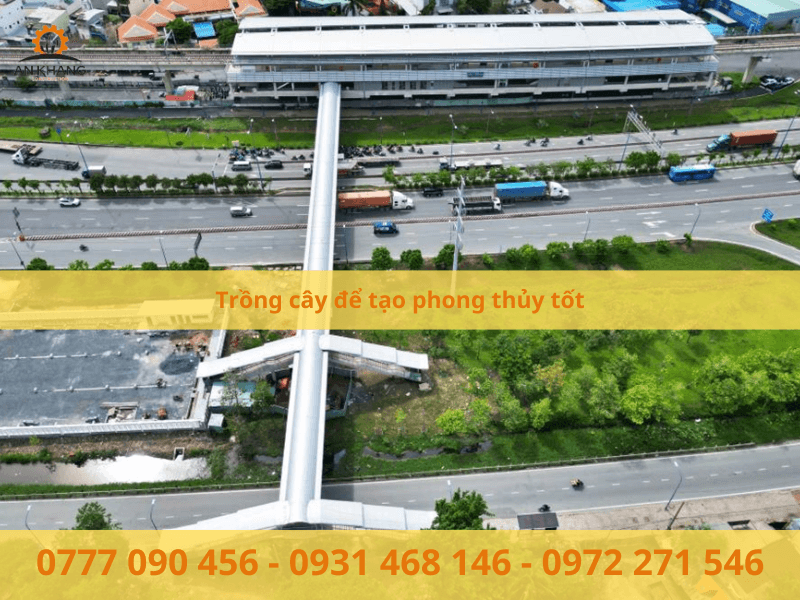 Trồng cây để tạo phong thủy tốt