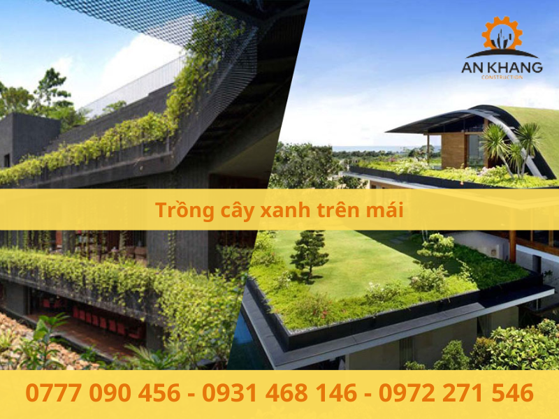 Trồng cây xanh trên mái