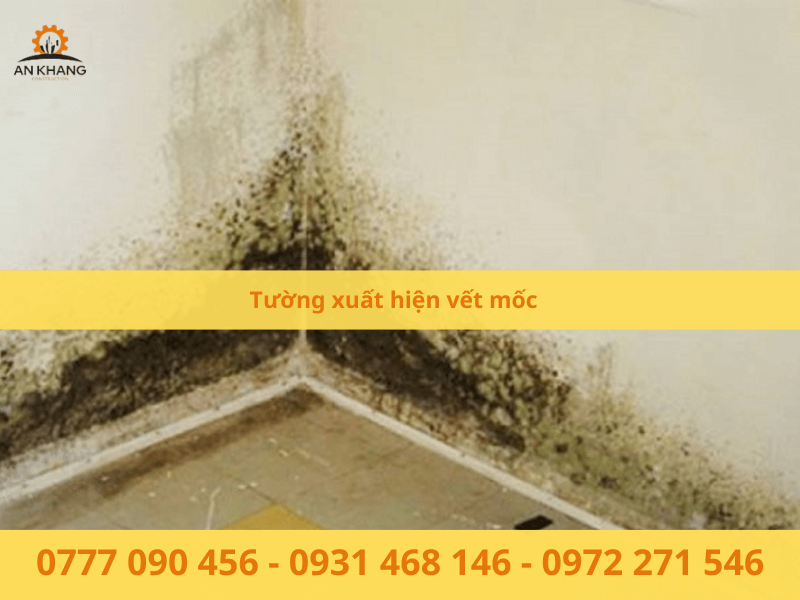 Tường xuất hiện vết mốc