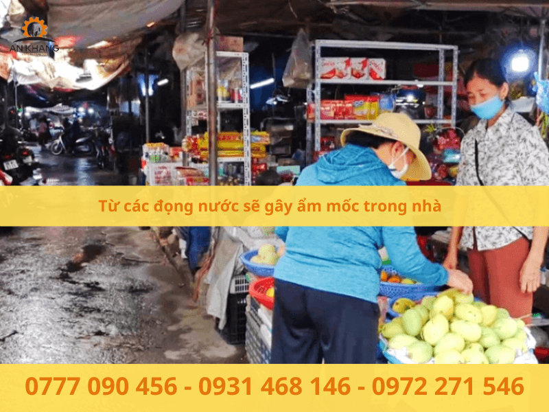 Từ các đọng nước sẽ gây ẩm mốc trong nhà